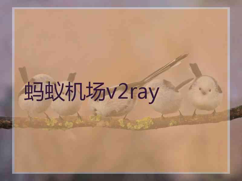 蚂蚁机场v2ray