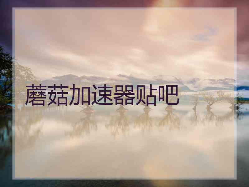 蘑菇加速器贴吧