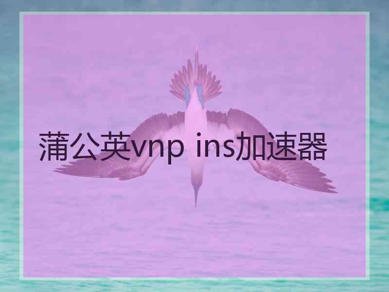 蒲公英vnp ins加速器
