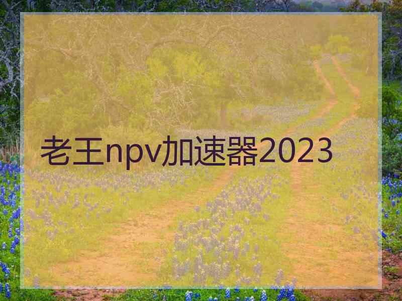 老王npv加速器2023