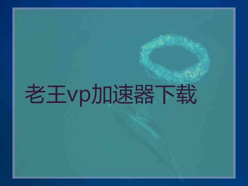 老王vp加速器下载