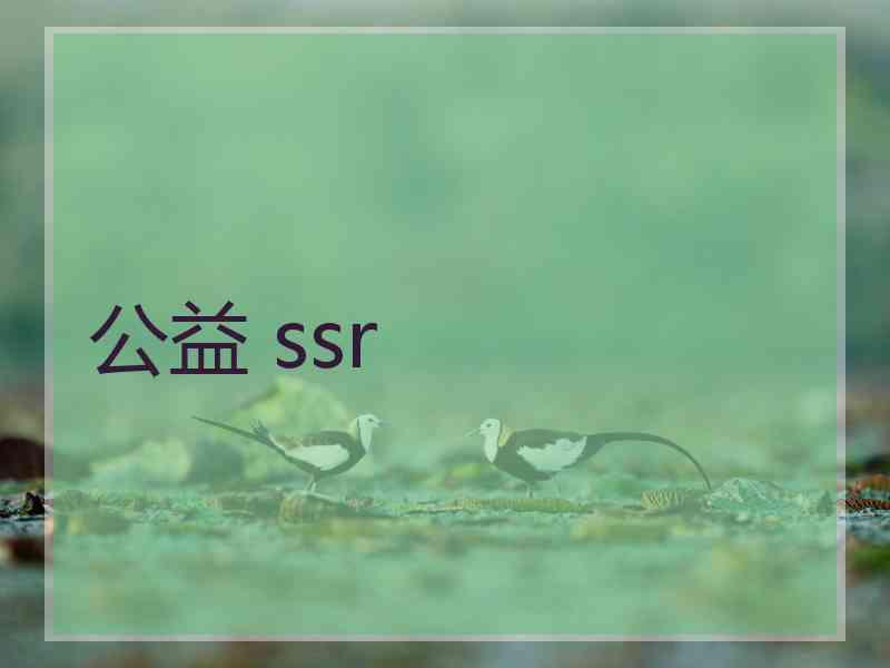 公益 ssr