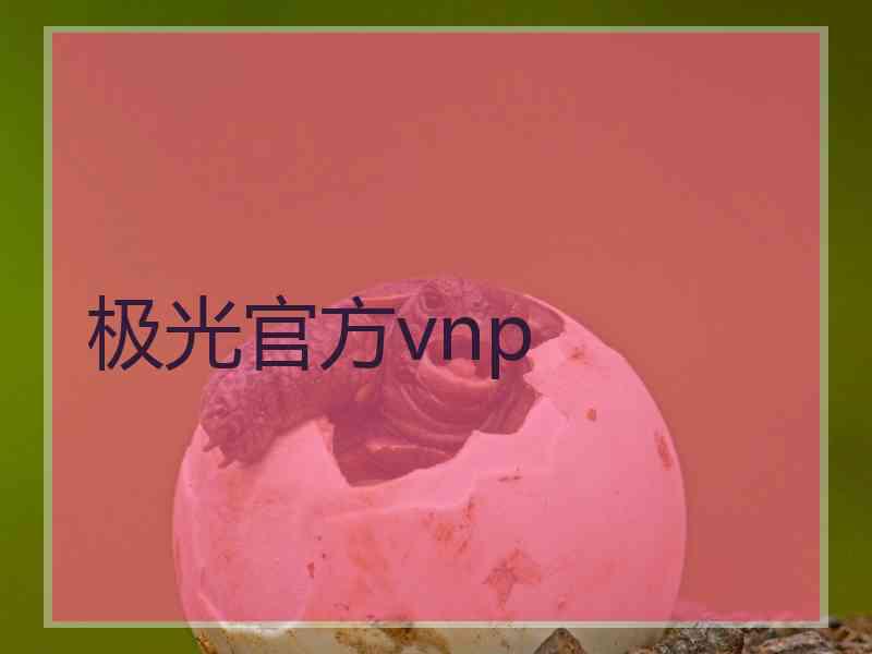 极光官方vnp