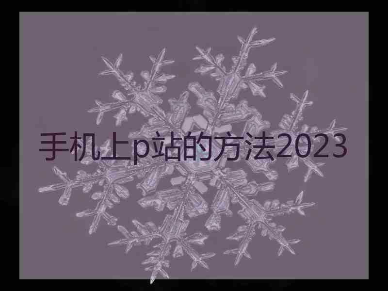 手机上p站的方法2023