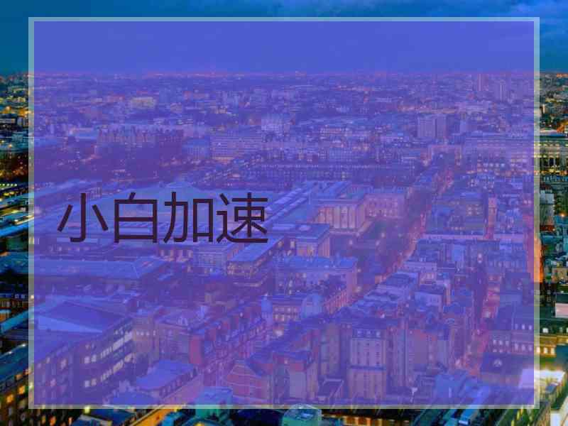 小白加速