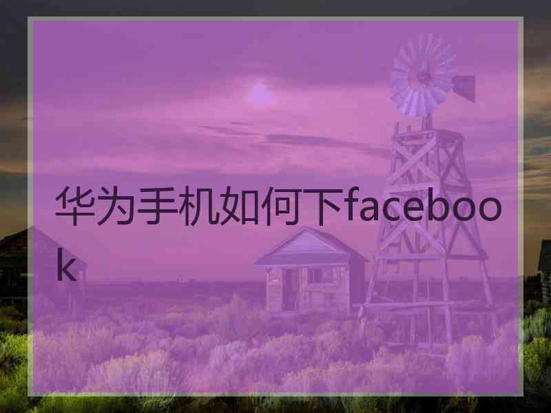 华为手机如何下facebook