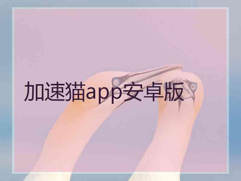 加速猫app安卓版