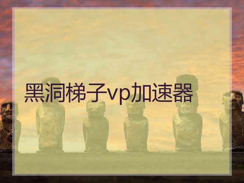 黑洞梯子vp加速器