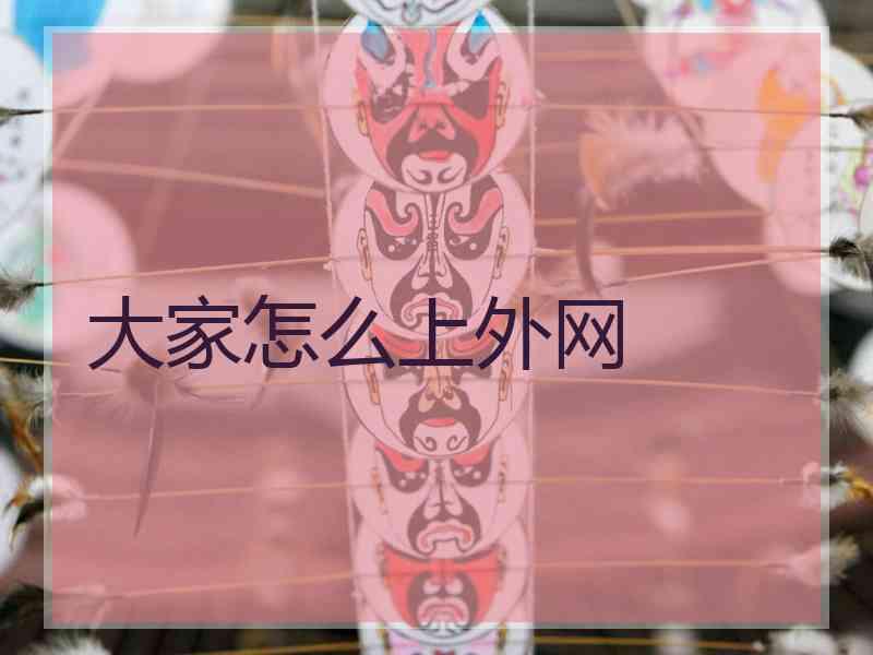 大家怎么上外网
