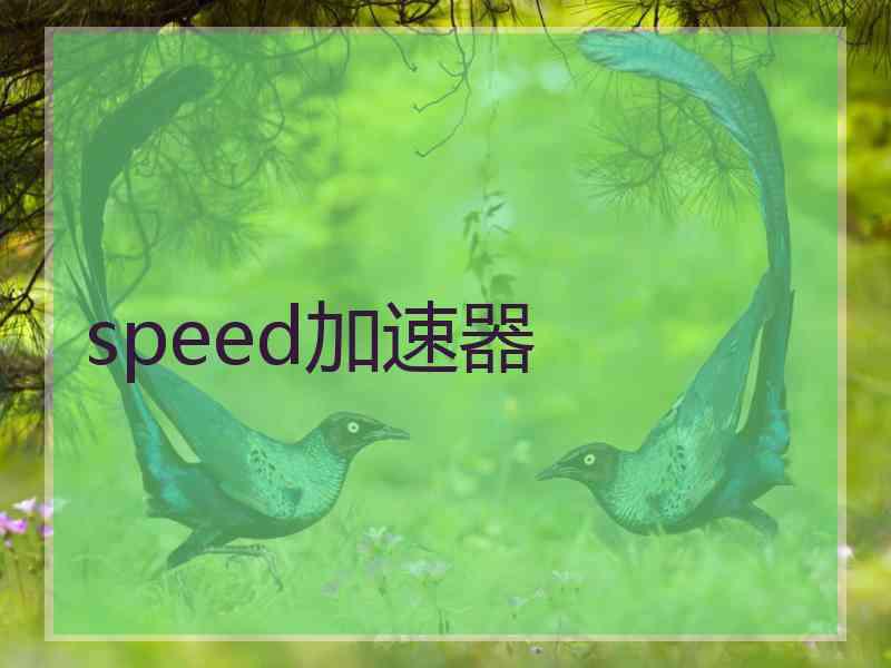 speed加速器