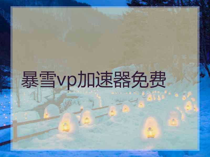 暴雪vp加速器免费