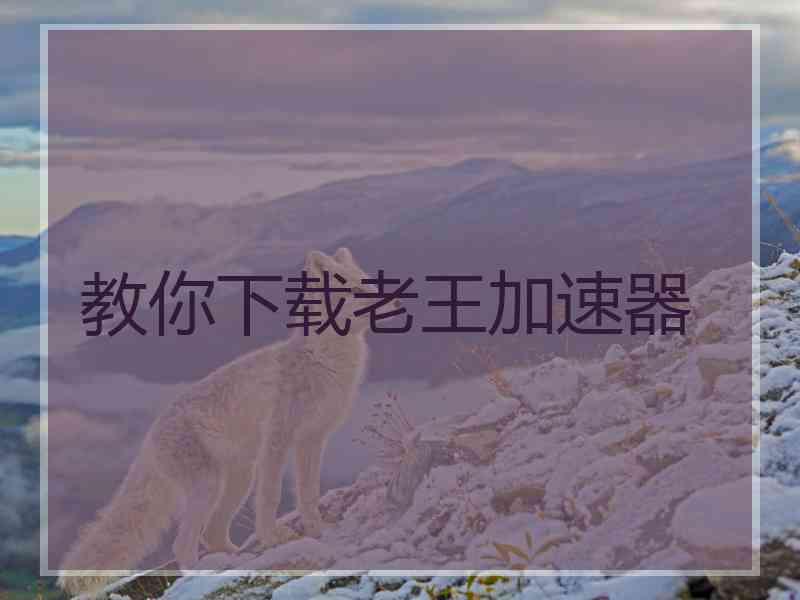 教你下载老王加速器