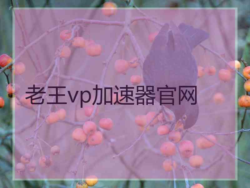 老王vp加速器官网