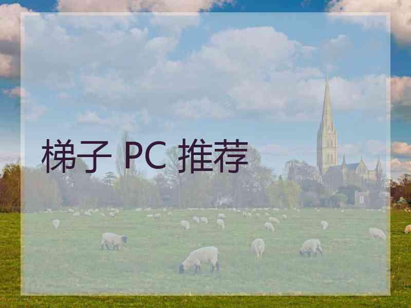 梯子 PC 推荐