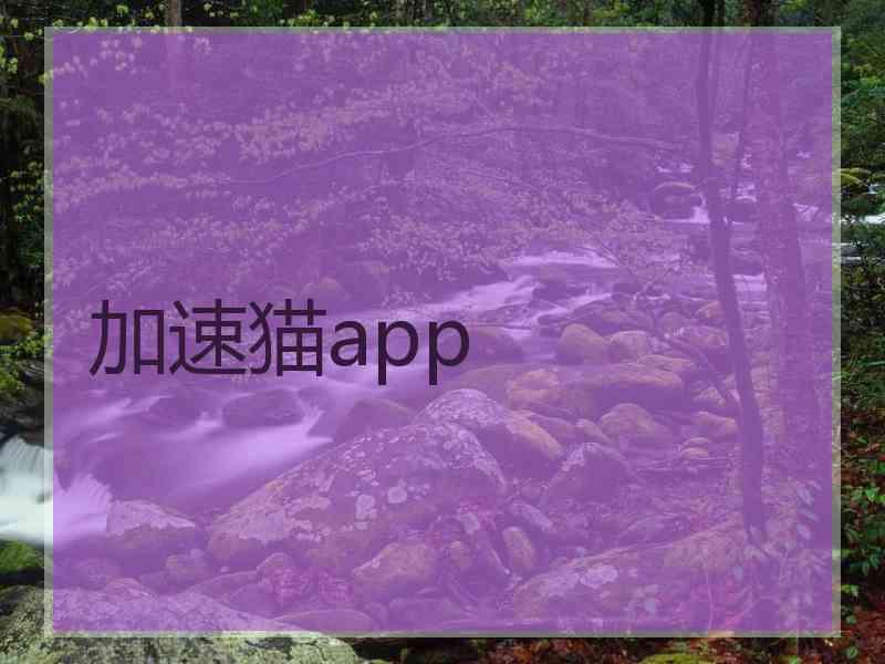 加速猫app