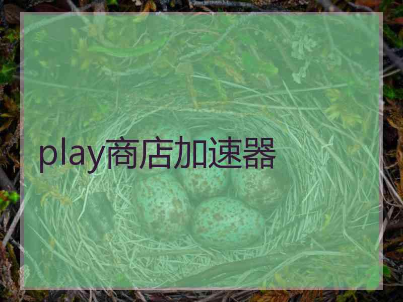 play商店加速器