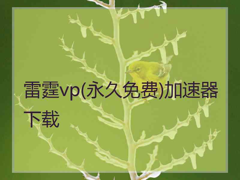 雷霆vp(永久免费)加速器下载