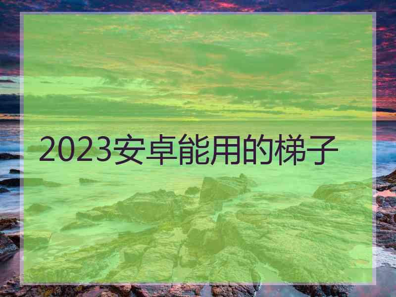 2023安卓能用的梯子