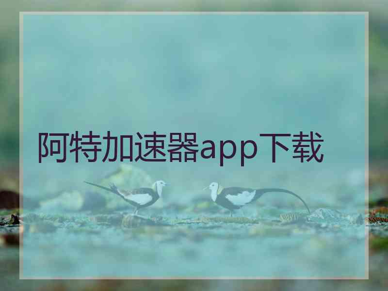 阿特加速器app下载