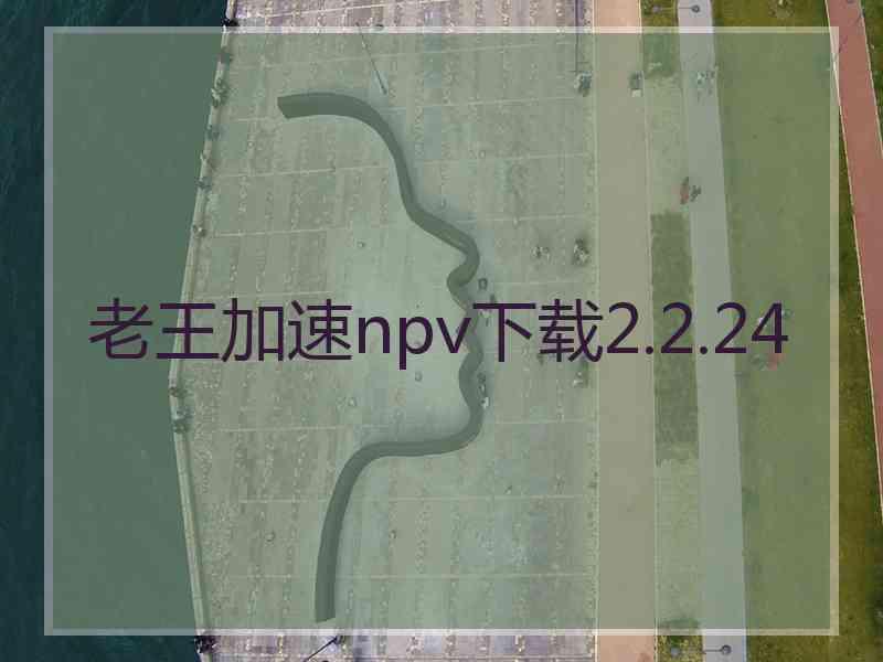 老王加速npv下载2.2.24