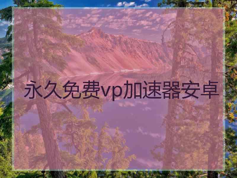 永久免费vp加速器安卓