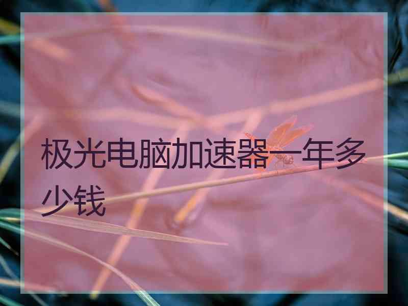 极光电脑加速器一年多少钱