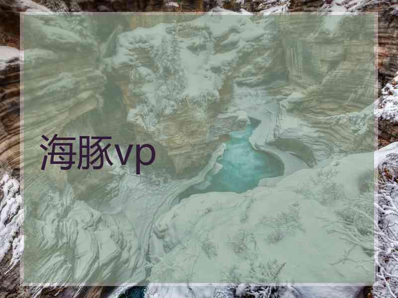 海豚vp