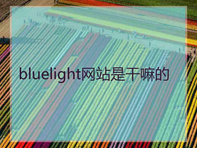 bluelight网站是干嘛的