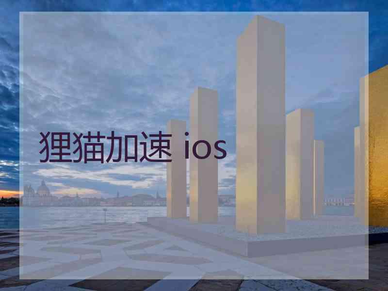 狸猫加速 ios