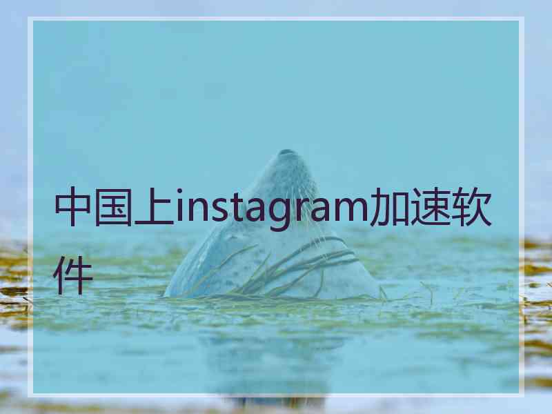 中国上instagram加速软件