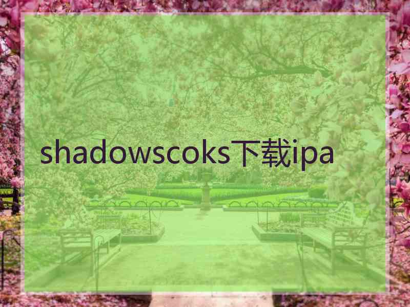 shadowscoks下载ipa