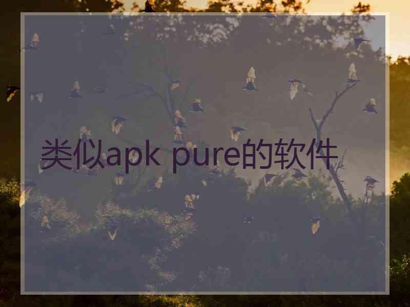 类似apk pure的软件