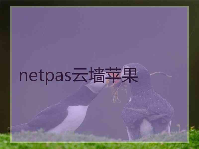 netpas云墙苹果