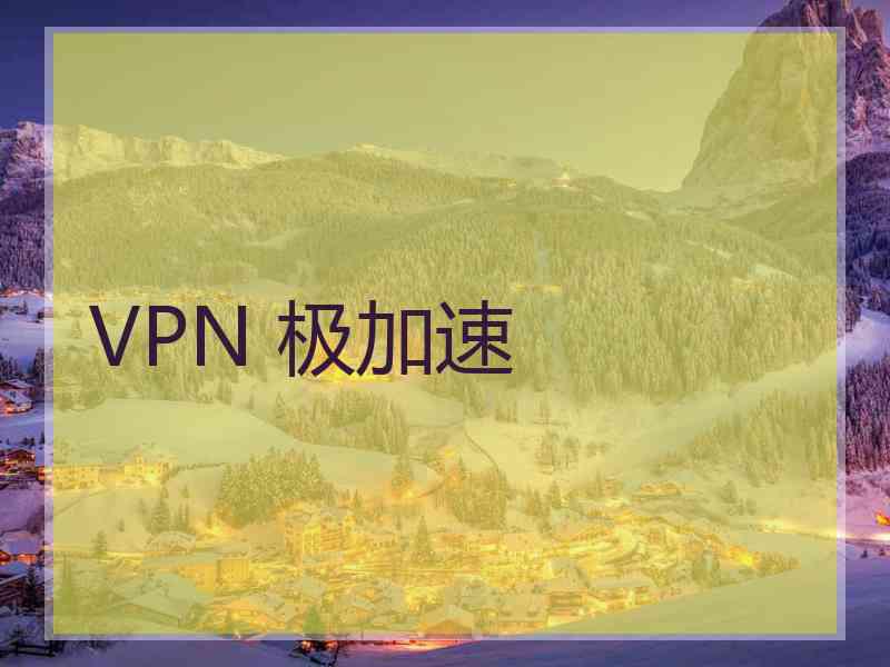 VPN 极加速