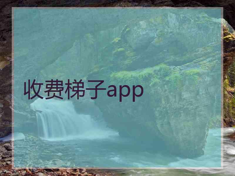 收费梯子app