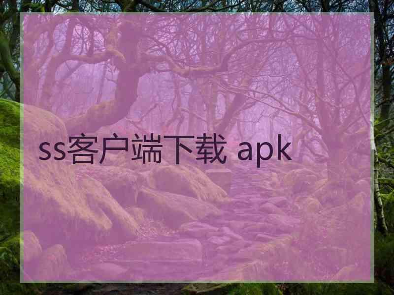 ss客户端下载 apk