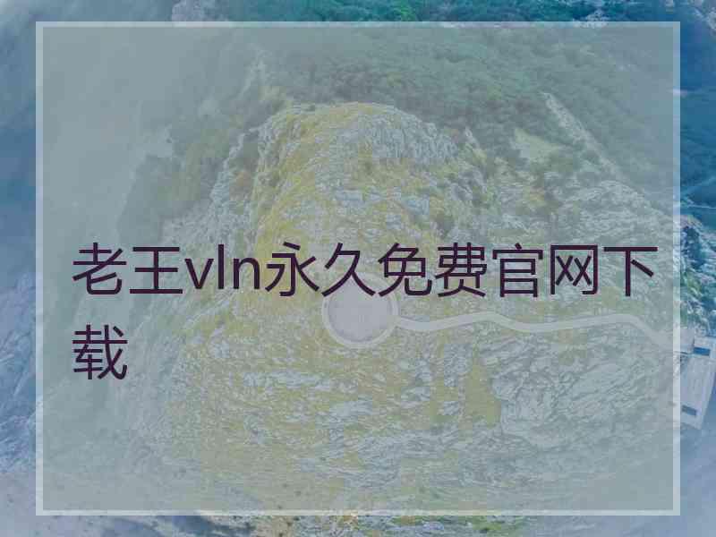 老王vln永久免费官网下载