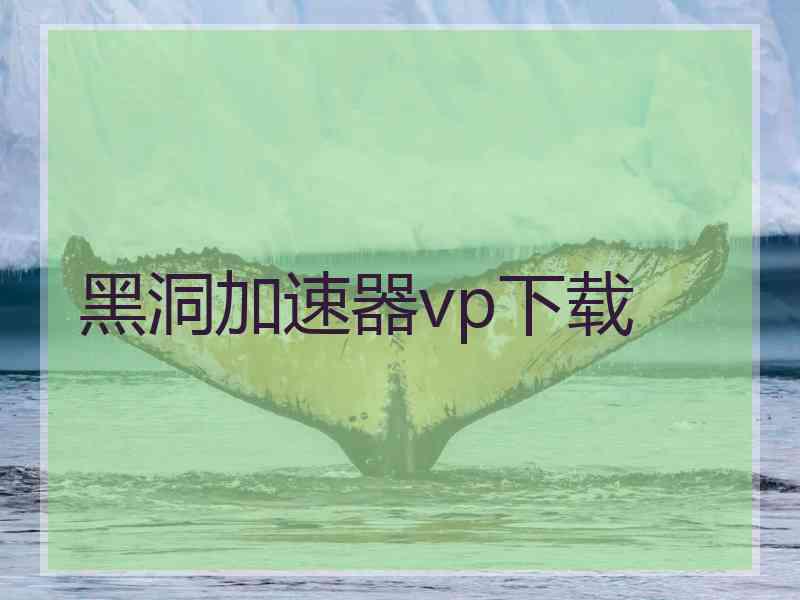 黑洞加速器vp下载