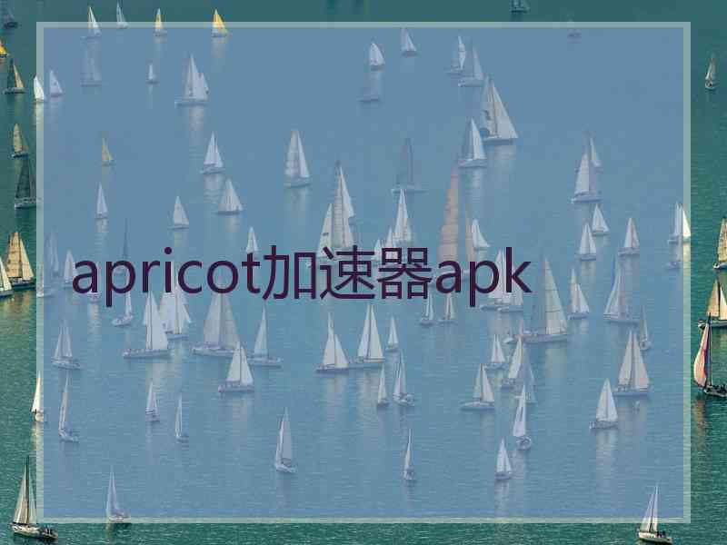 apricot加速器apk