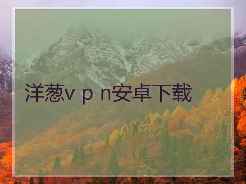 洋葱v p n安卓下载