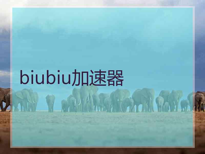 biubiu加速器