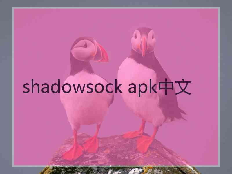 shadowsock apk中文