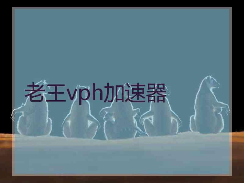 老王vph加速器