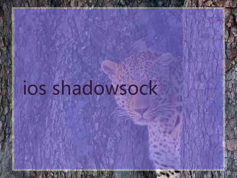 ios shadowsock