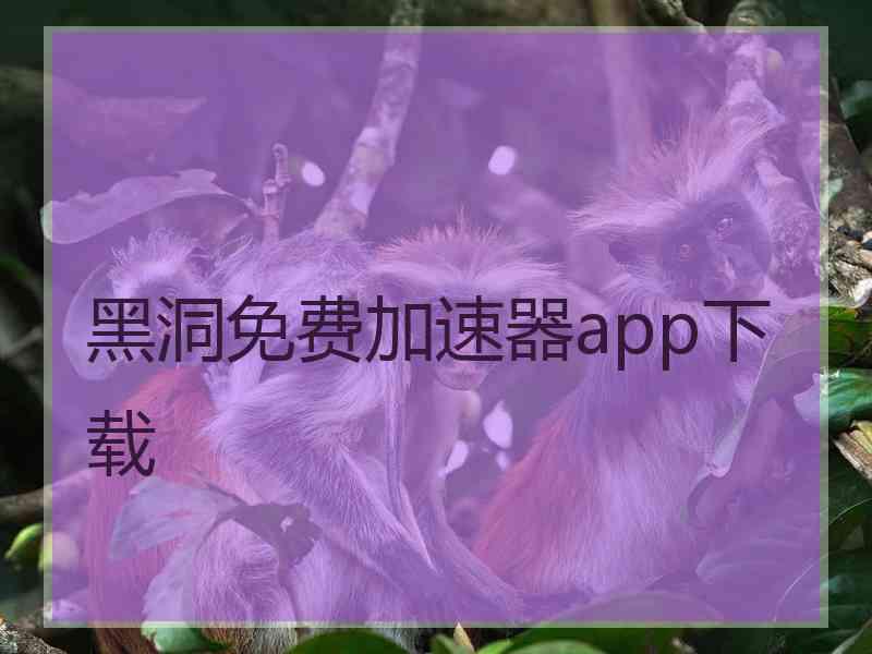 黑洞免费加速器app下载