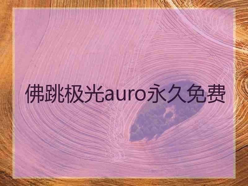 佛跳极光auro永久免费