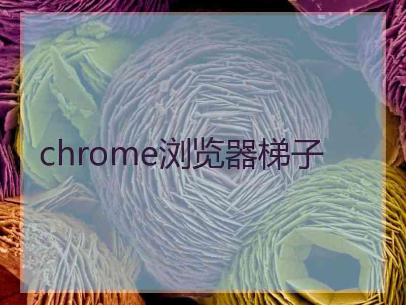 chrome浏览器梯子