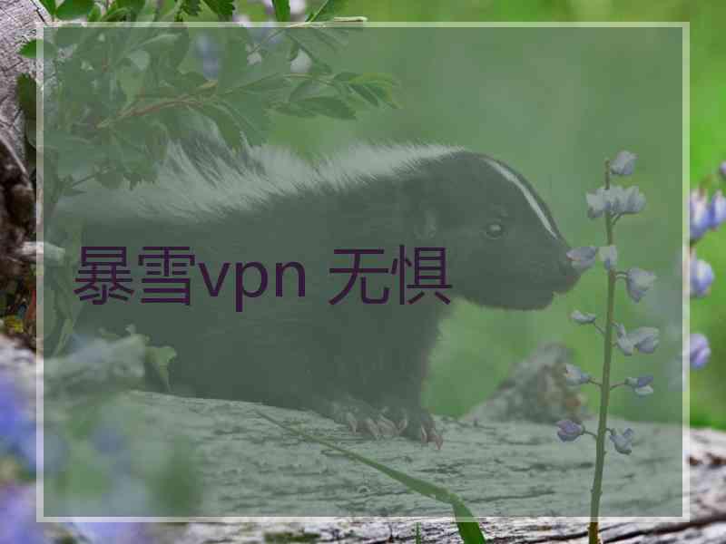 暴雪vpn 无惧