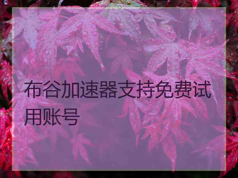 布谷加速器支持免费试用账号