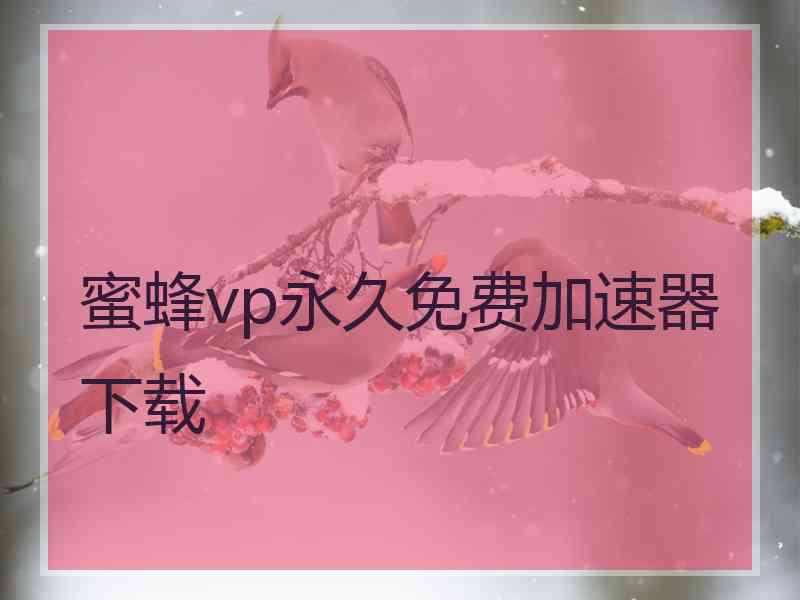 蜜蜂vp永久免费加速器下载